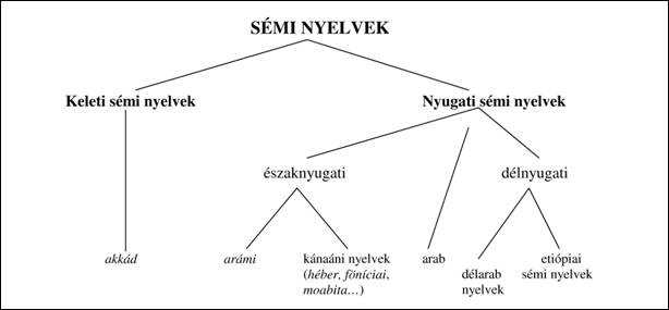 Sémi nyelvek családfája